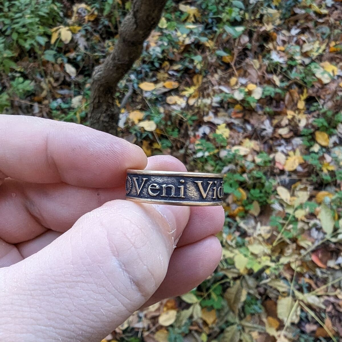 Перстень veni vidi vici