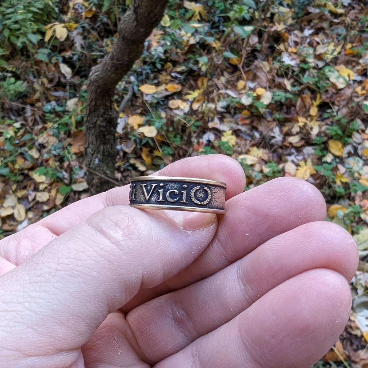 Перстень veni vidi vici