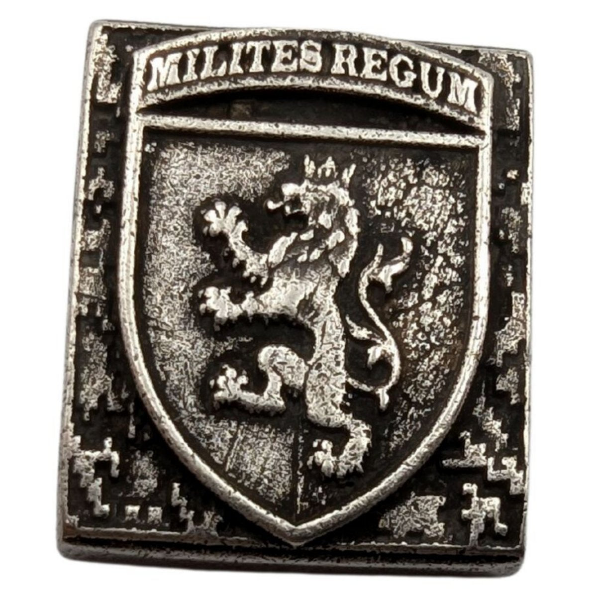 24 ОМБр молле кліпса