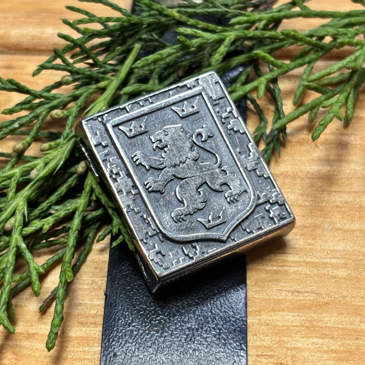 Галичина молле кліпса