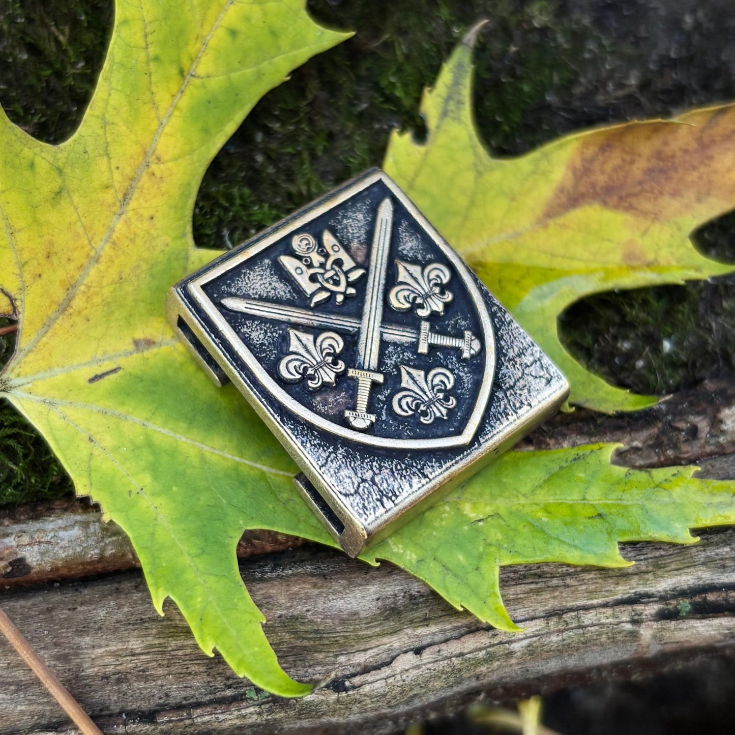 155 ОМБр Молле кліпса