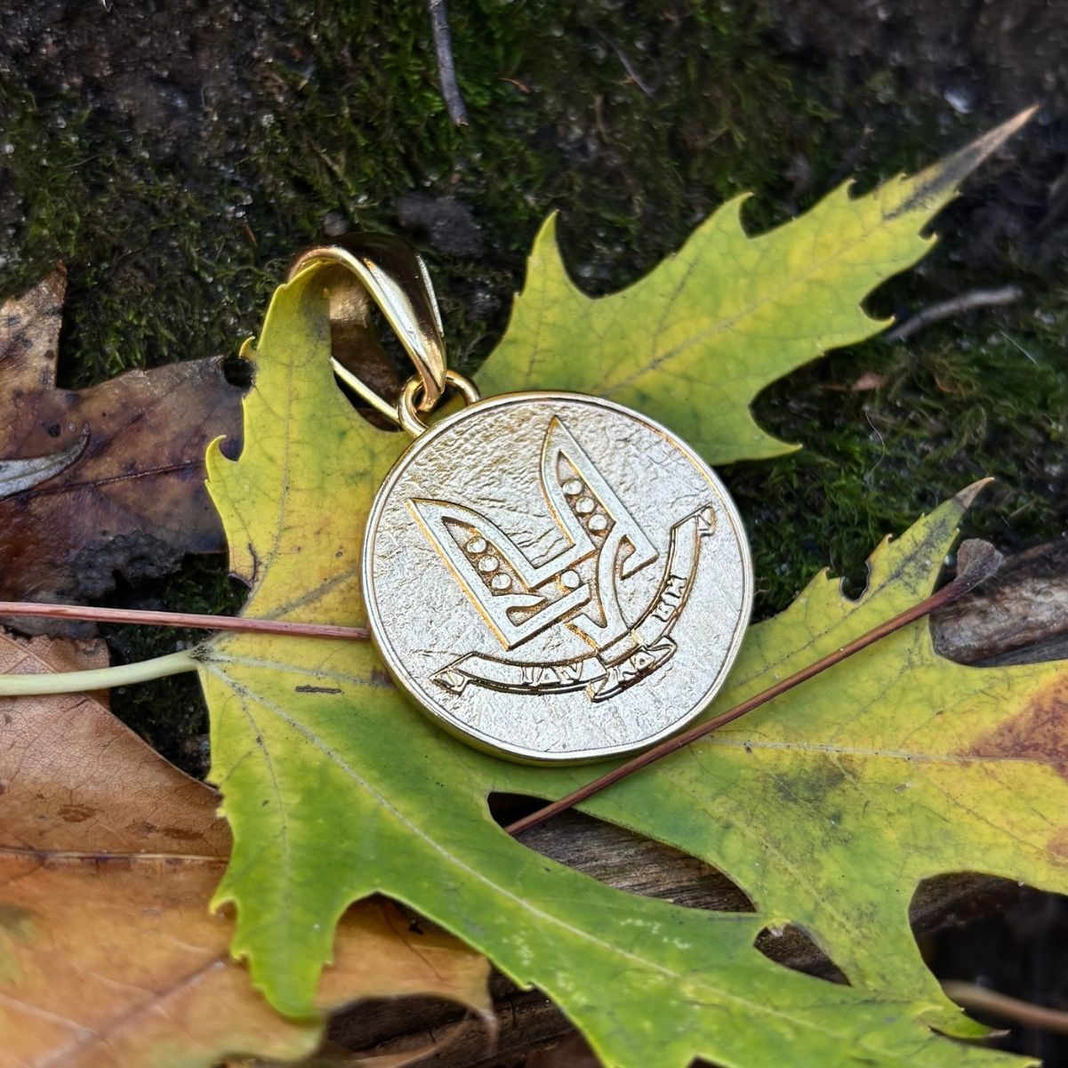 Кулон Іду на Ви ССО