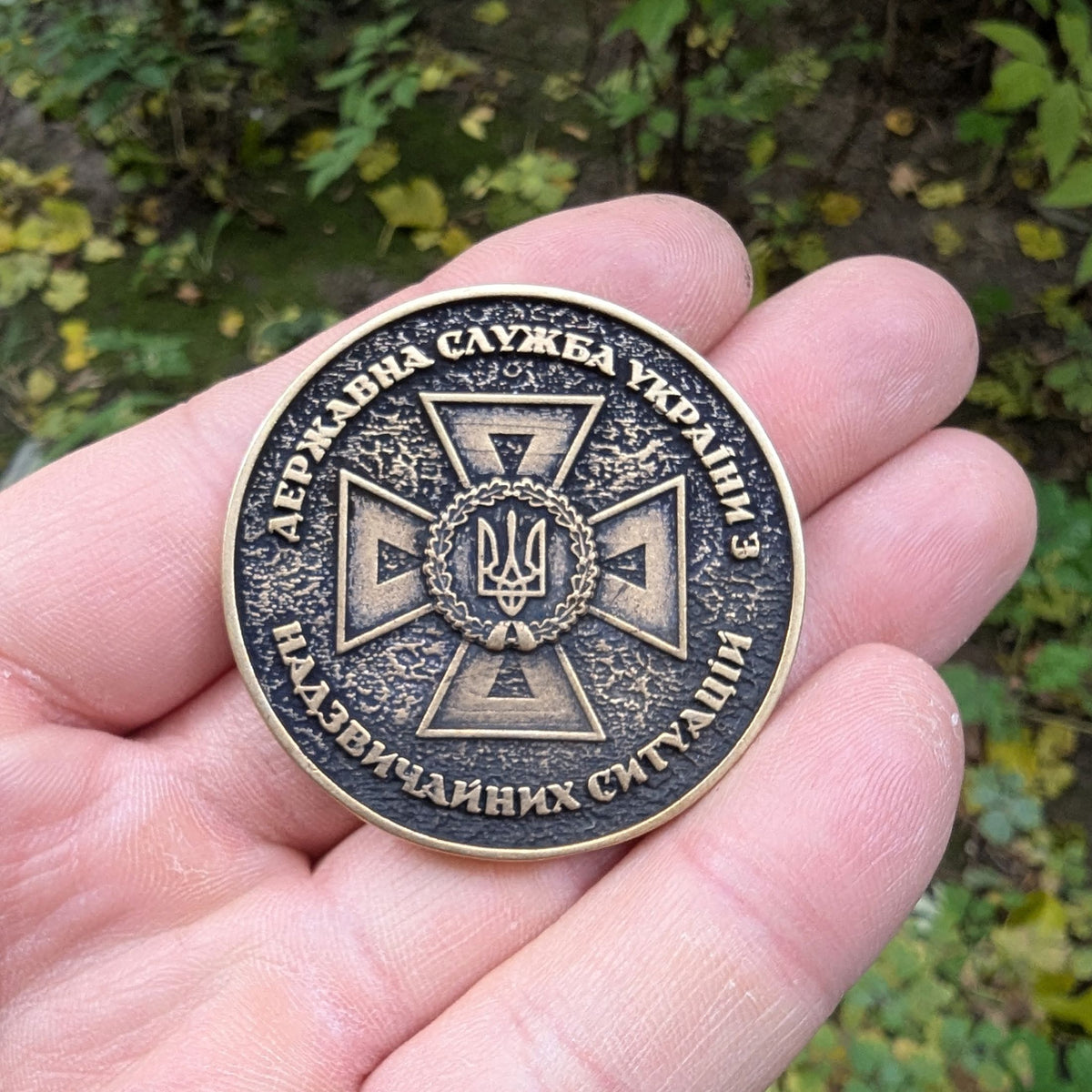 Коін ДСНС