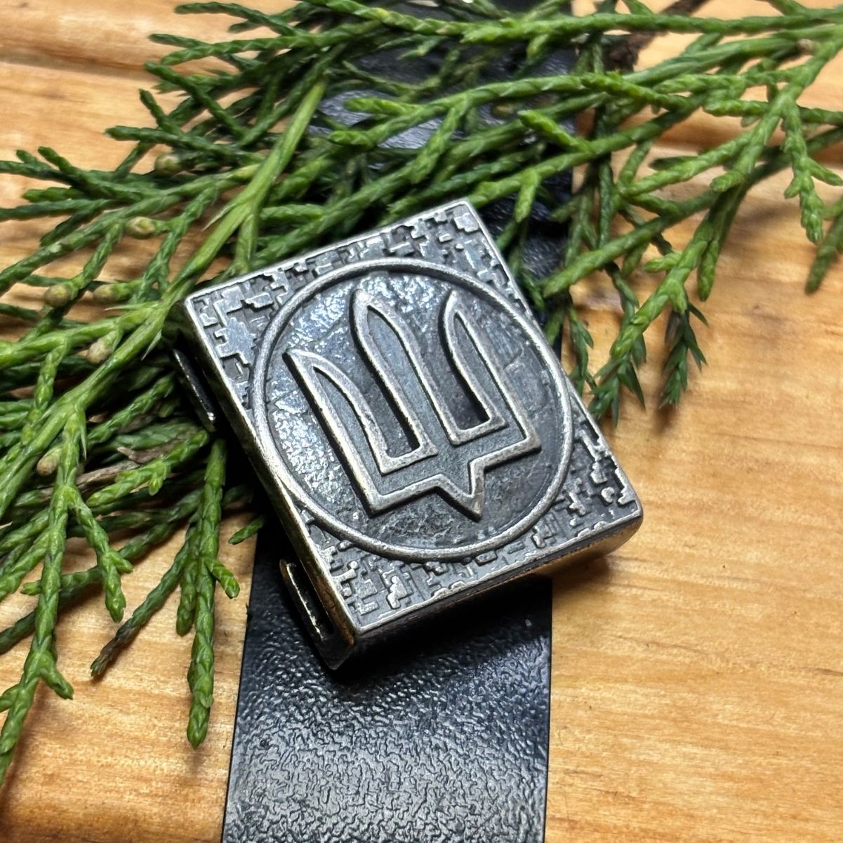 Молле кліпса ЗСУ