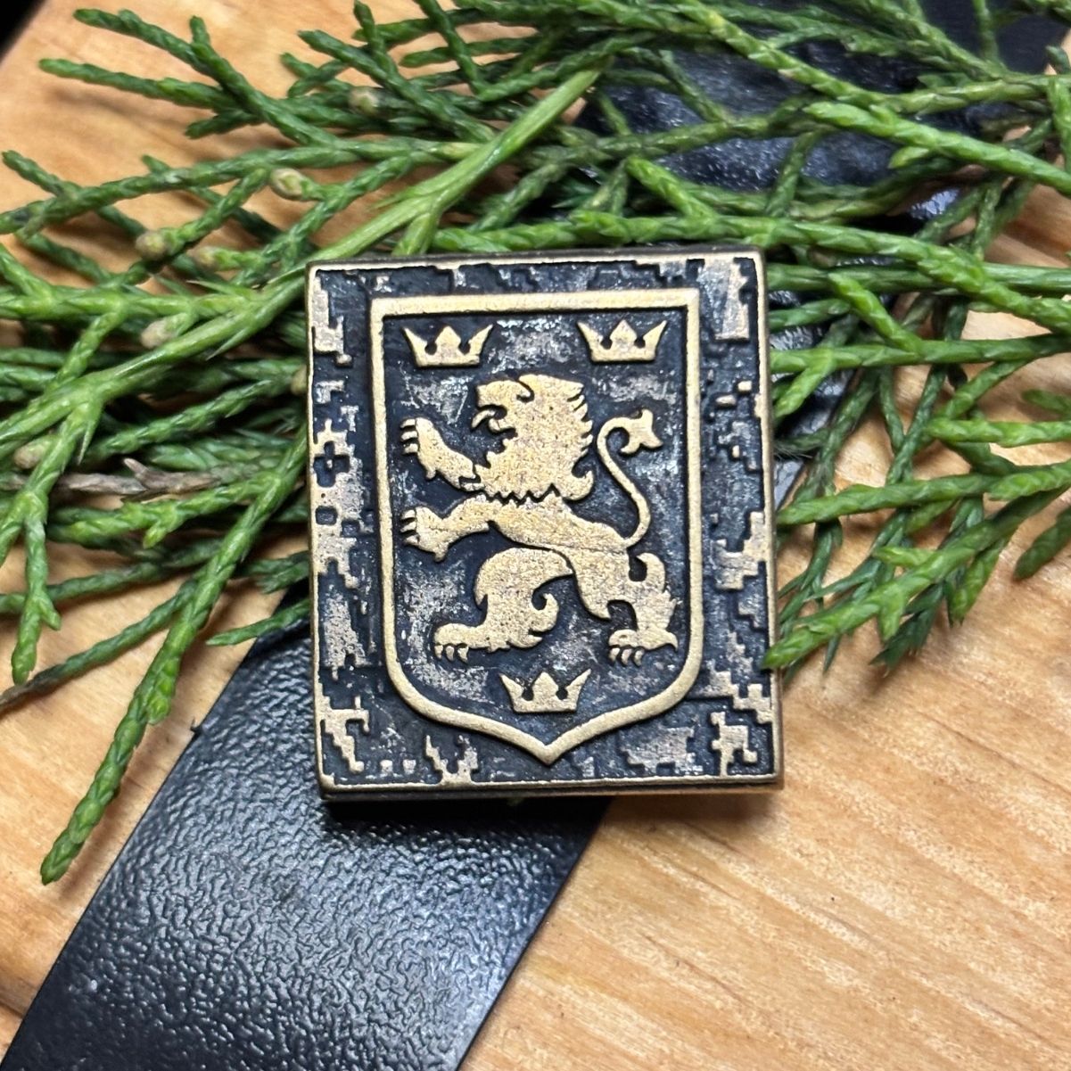 Галичина молле кліпса