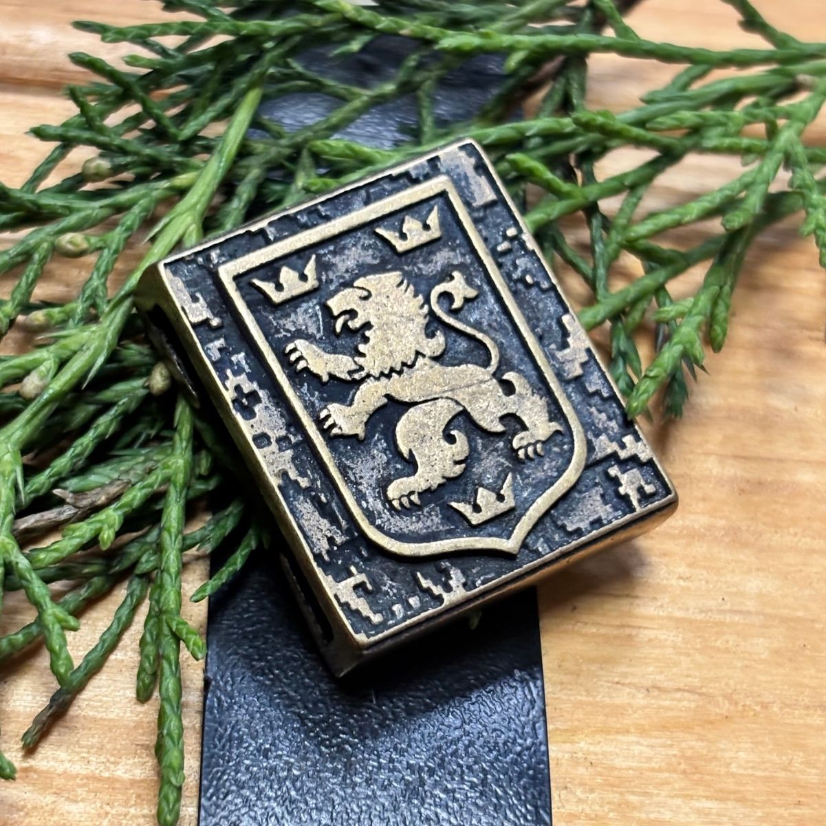 Галичина молле кліпса