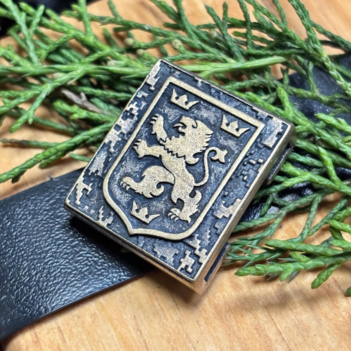 Галичина молле кліпса