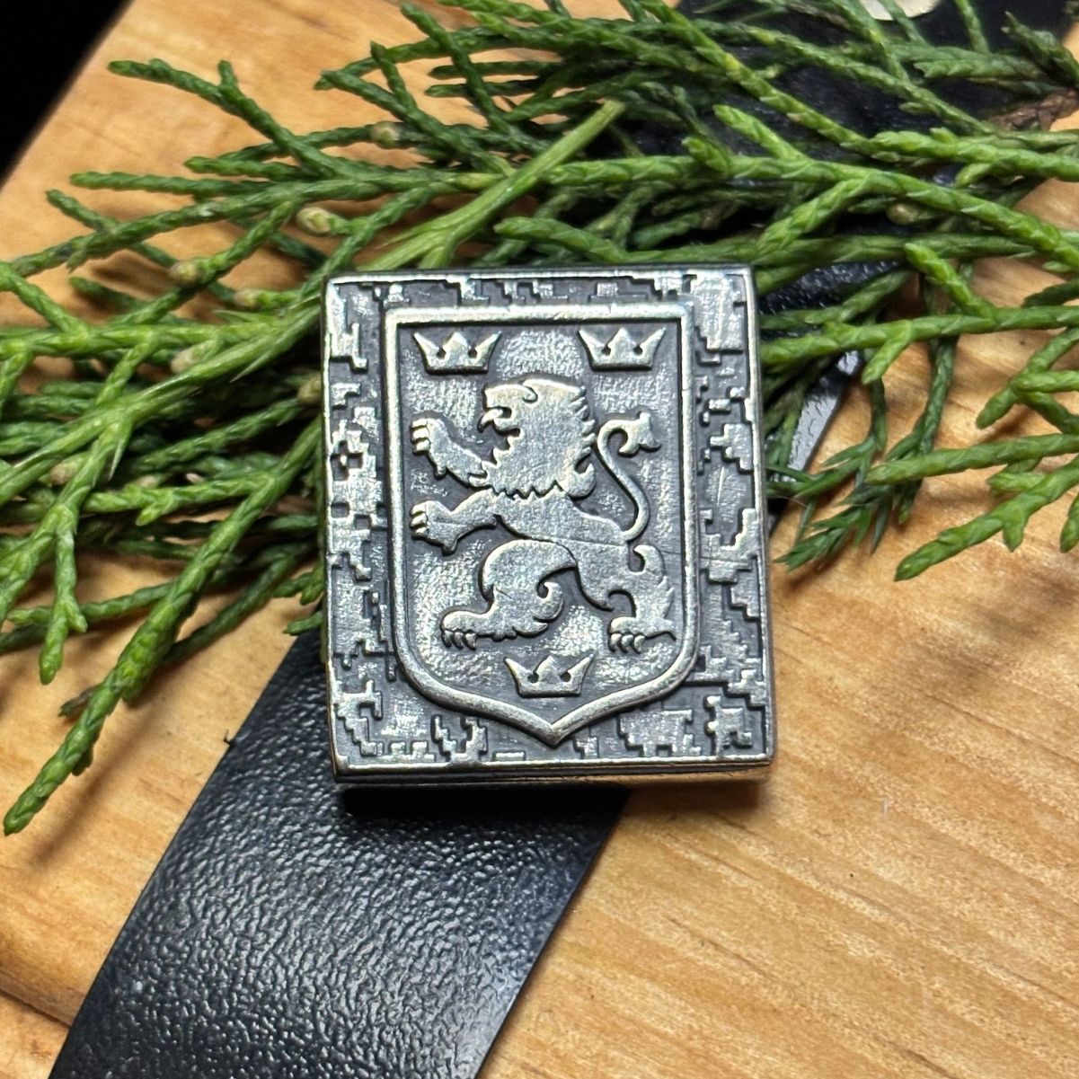 Галичина молле кліпса