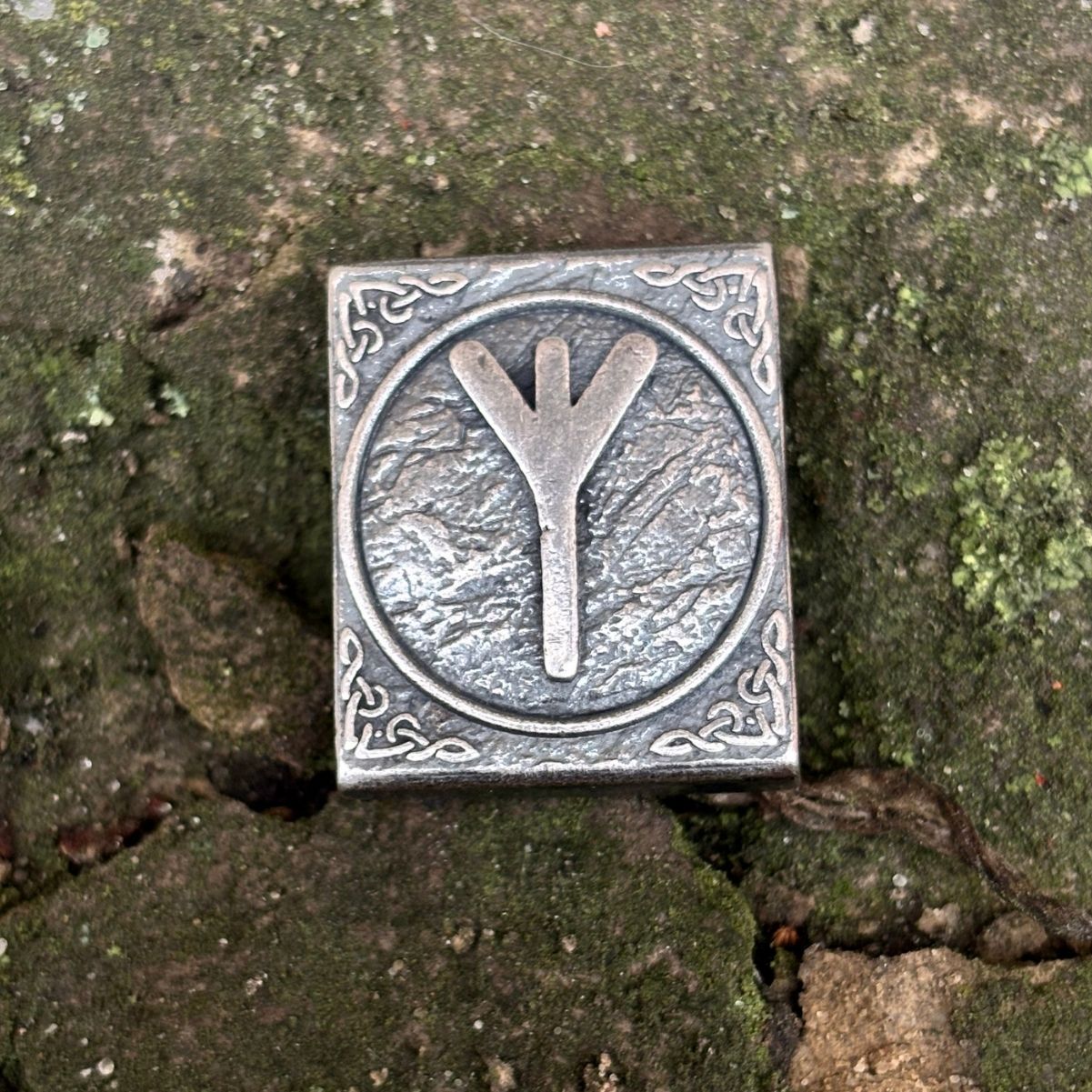 Альгіз молле кліпса