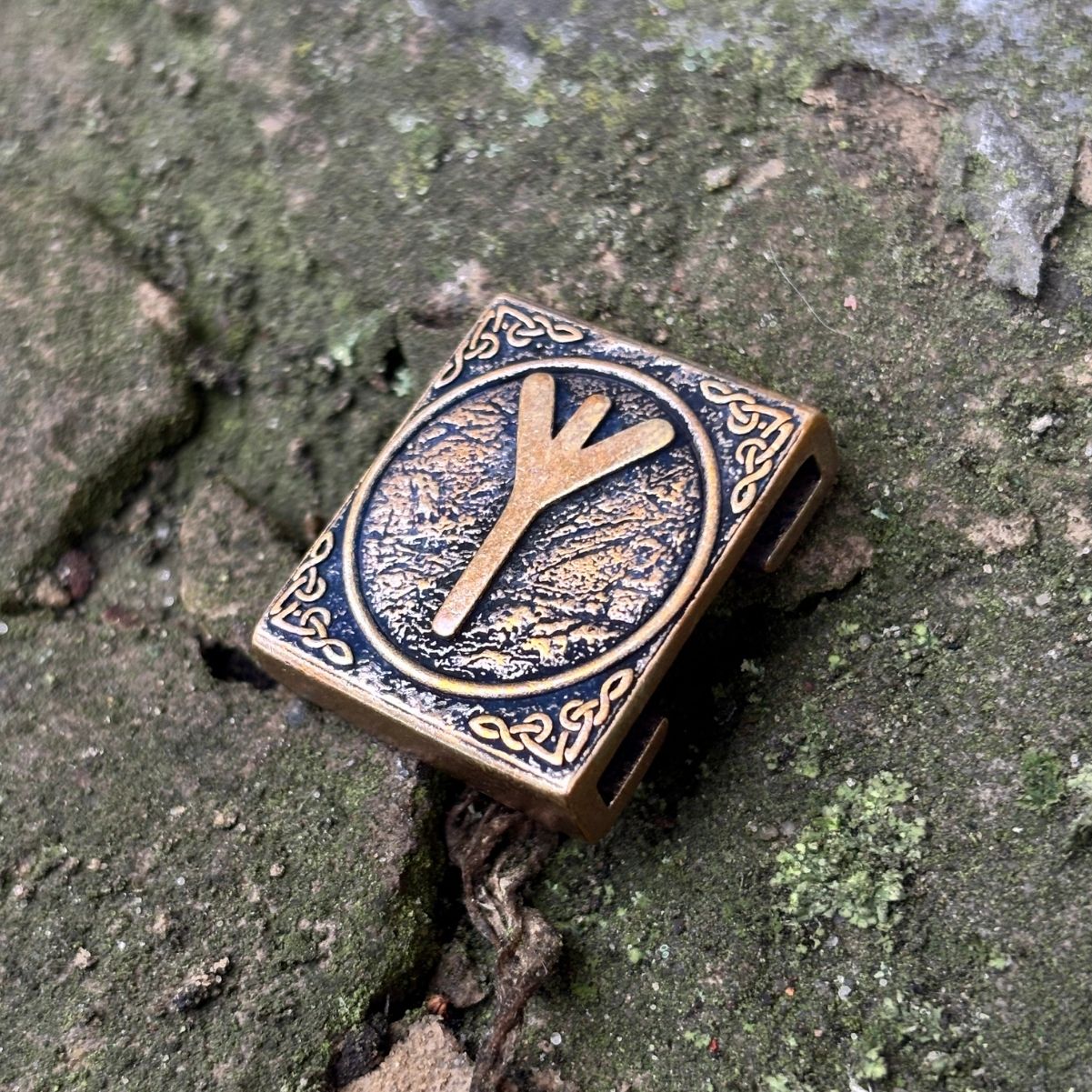 Альгіз молле кліпса