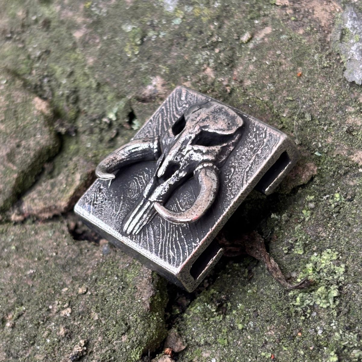 Міфозавр молле кліпса