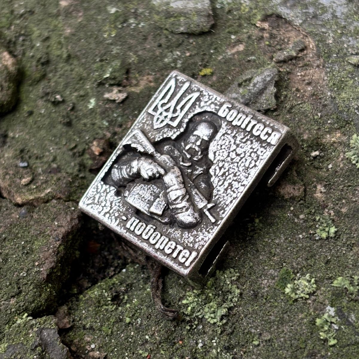 Молле кліпса Шевченко