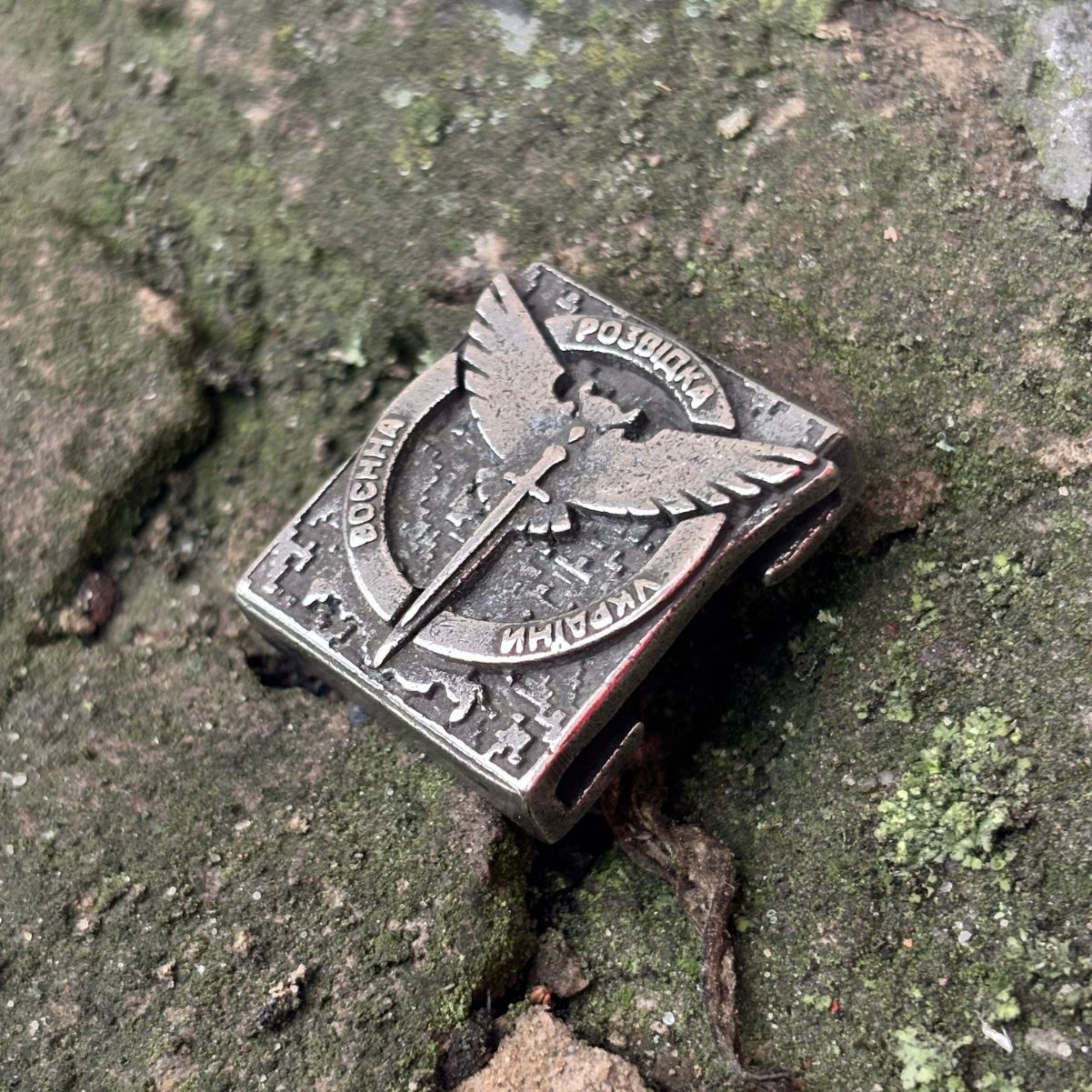 Воєнна розвідка молле кліпса