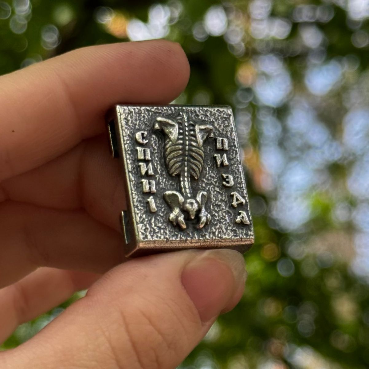Молле кліпса Спині пизда