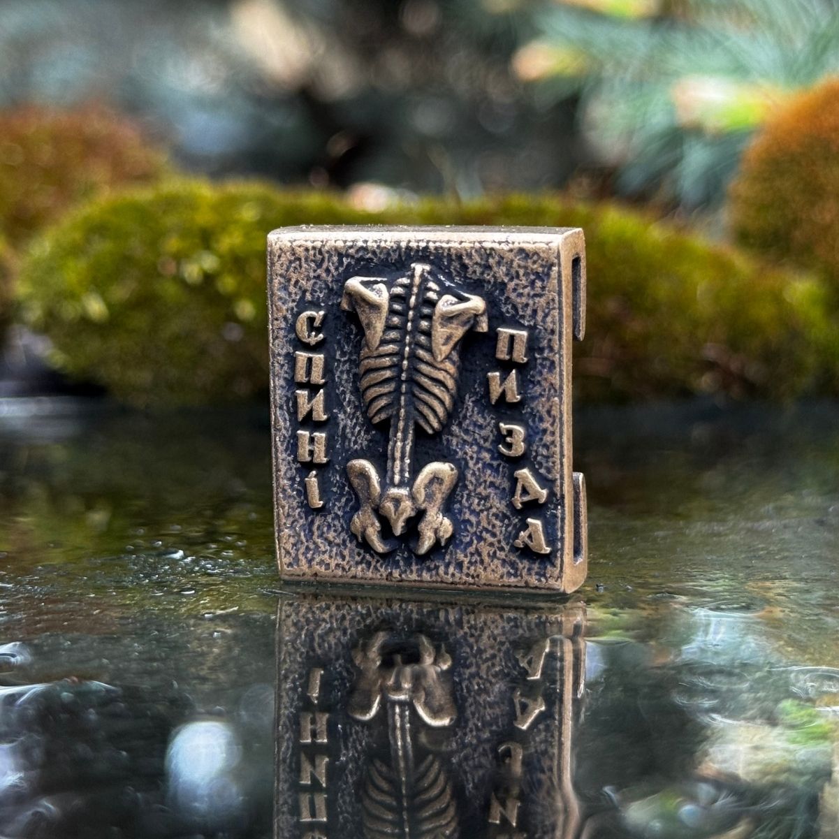 Молле кліпса Спині пизда