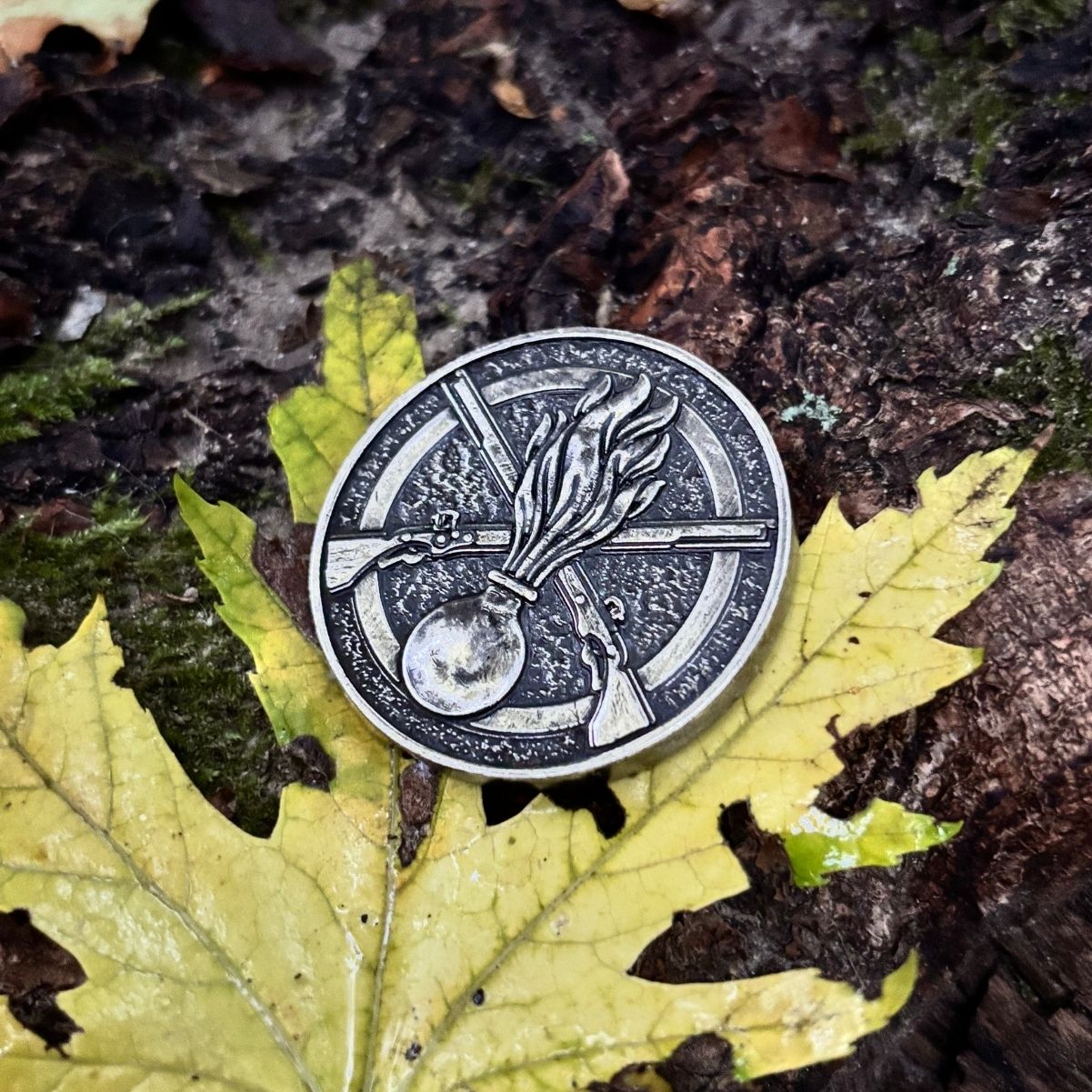 Коїн Механізовані війська